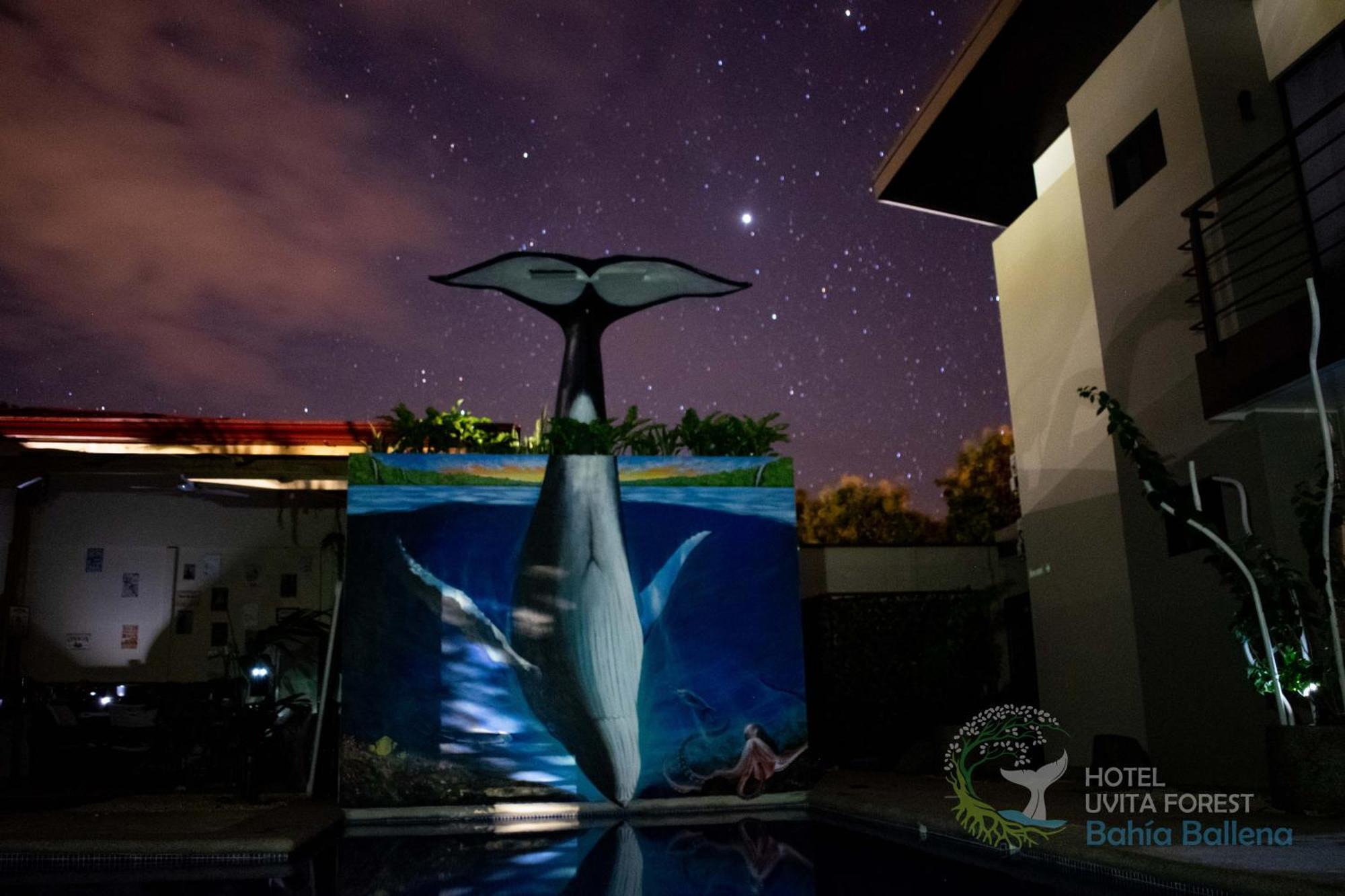 Hotel Uvita Forest Luaran gambar